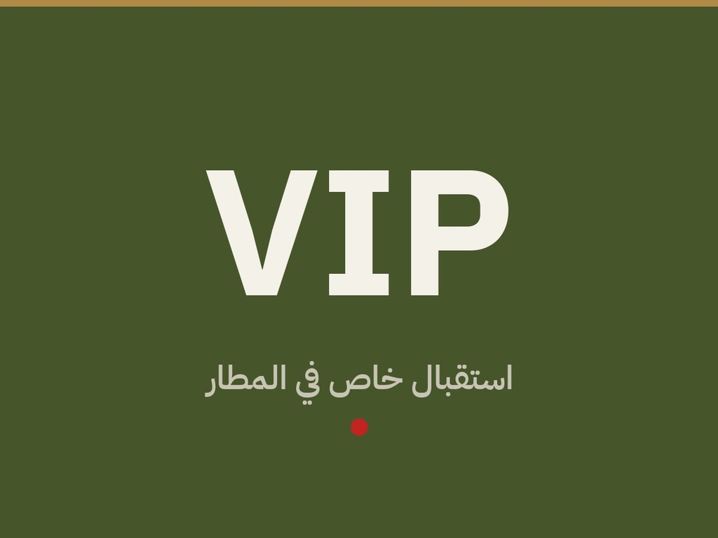 استقبال VIP في مطار إسطنبول